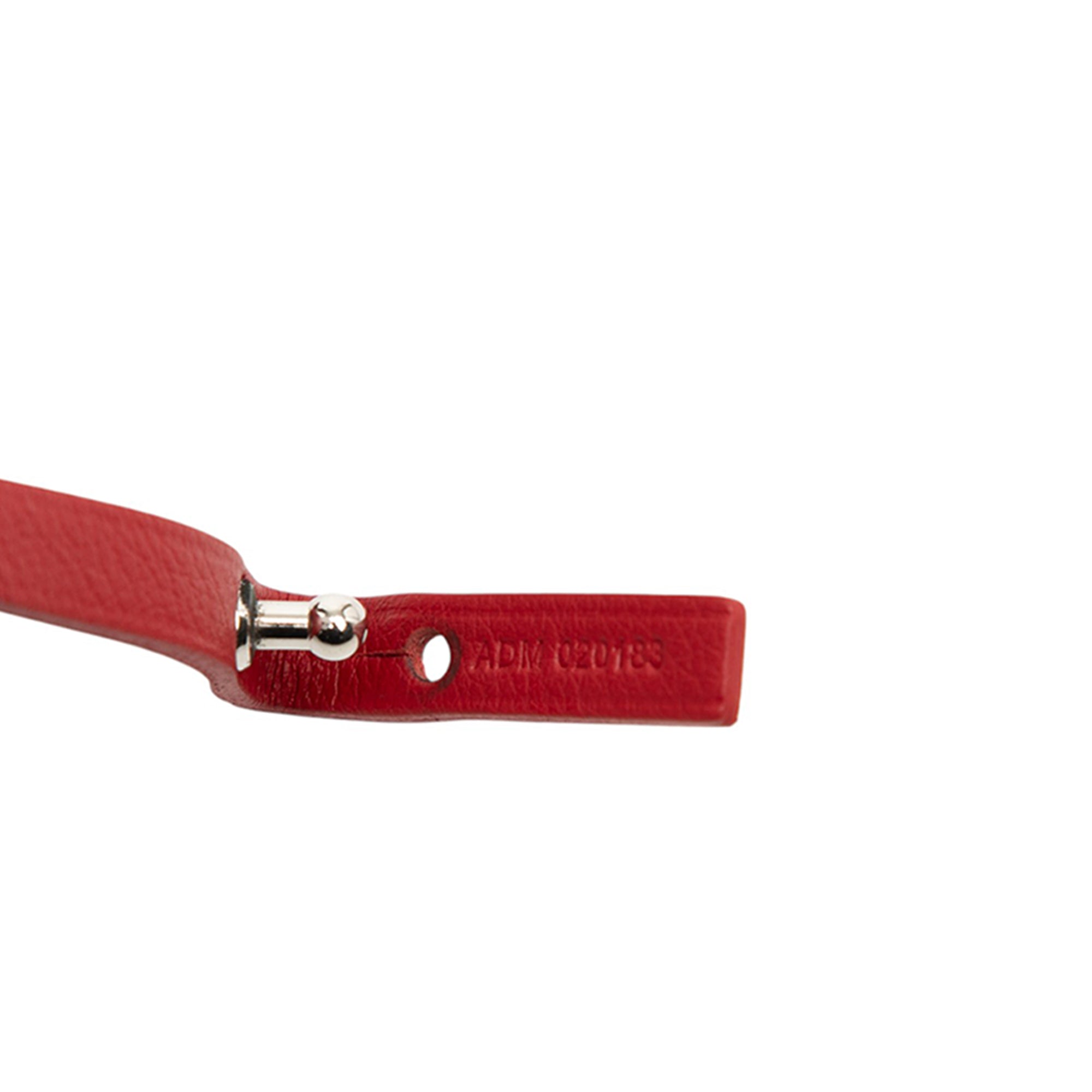 Goyardine Saint Louis PM