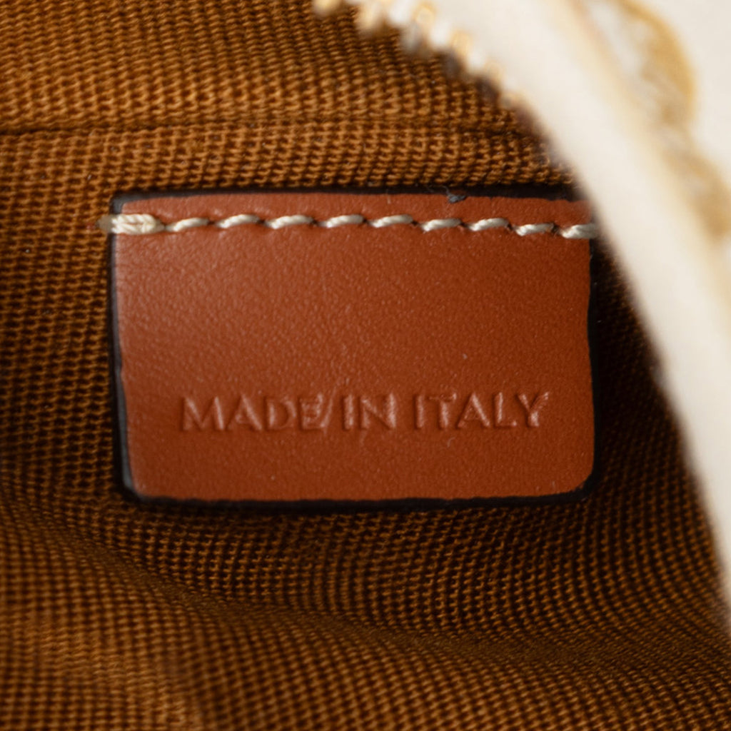 Mini Triomphe Coated Canvas Ava Shoulder Bag