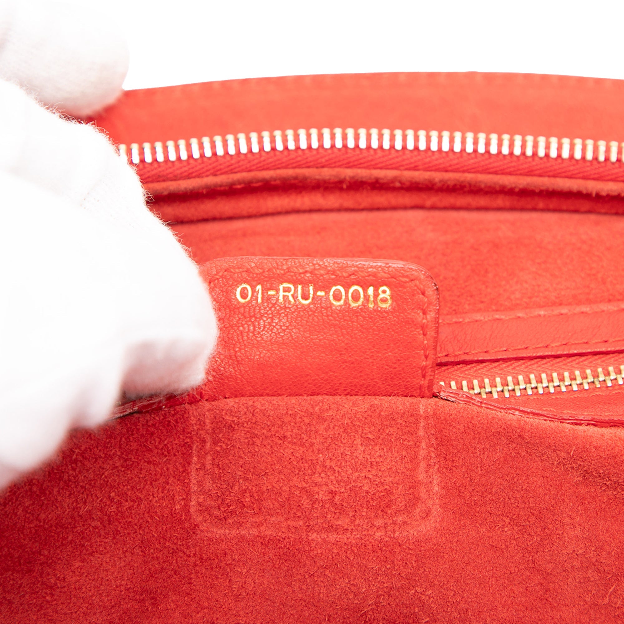 Large Calfskin My Dior Frame Handbag