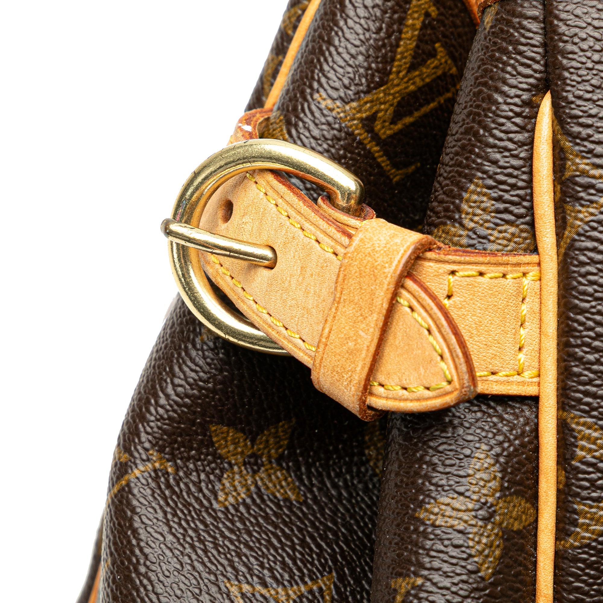 Monogram Batignolles Vertical PM